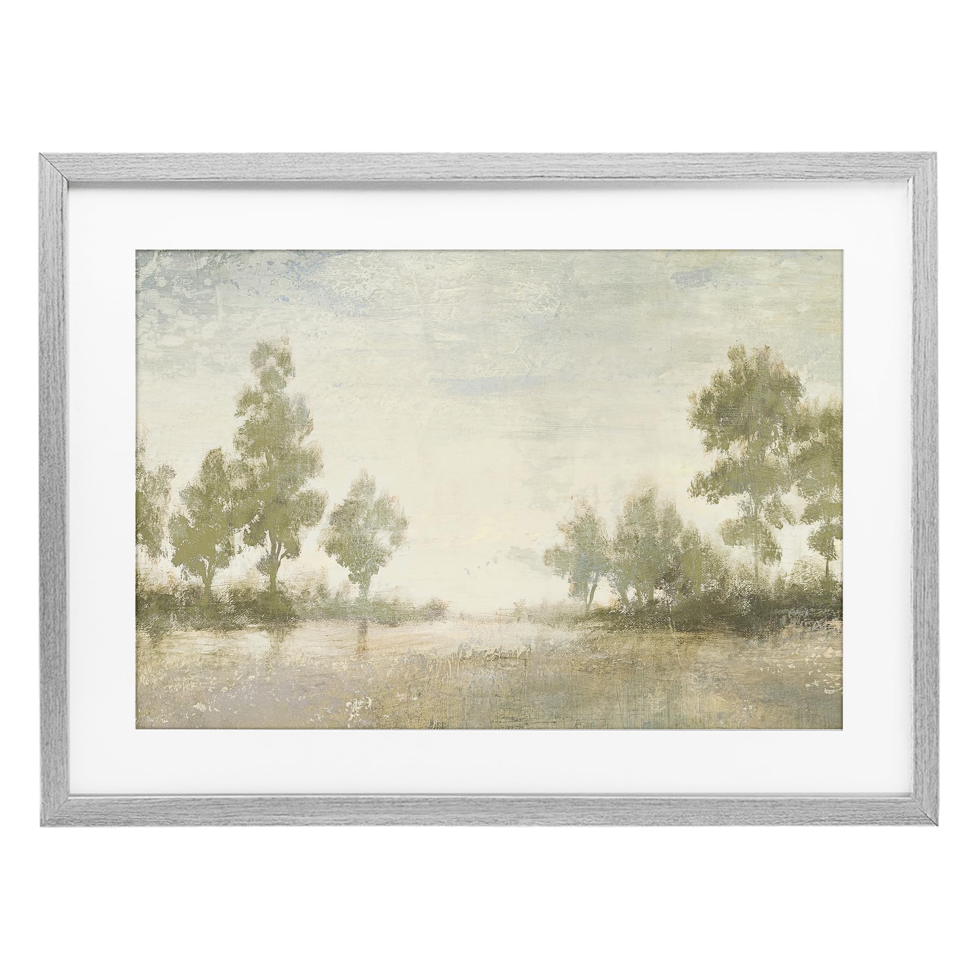 'Forest Light Distant Valley'| Framed Print Under Glass