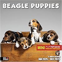 Vista 52 de RED EMBER Calendario de pared 2025 con diseño de cachorros de 12 meses, 12 x 24 pulgadas, abierto, papel grueso y resistente, para regalo