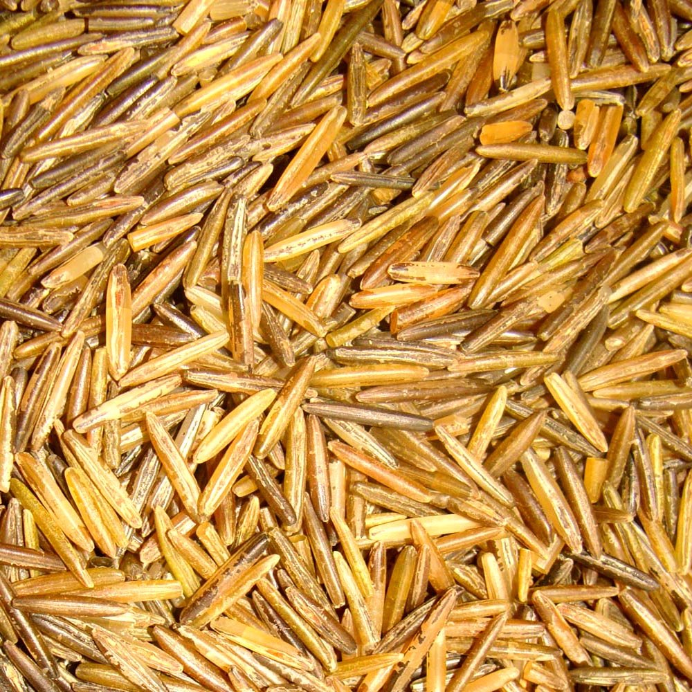BINESHII GHOST WILD RICE 5-LBS, THE RAREST AND FINEST WILD RICE IN THE WORLD!