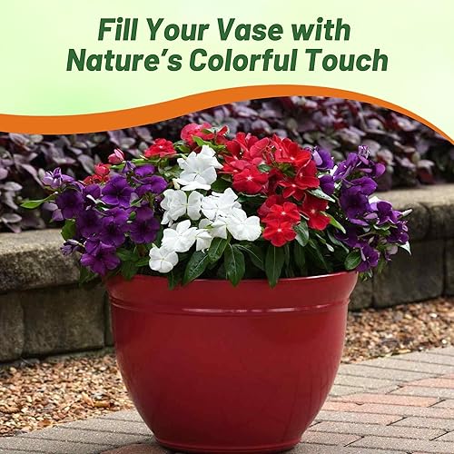 Miniatura 6 de Outsidepride American Pie Mix - Semillas de bígaro para plantar, 100 unidades, anuales, de floración rápida, tolerantes al calor y a la sequía, con