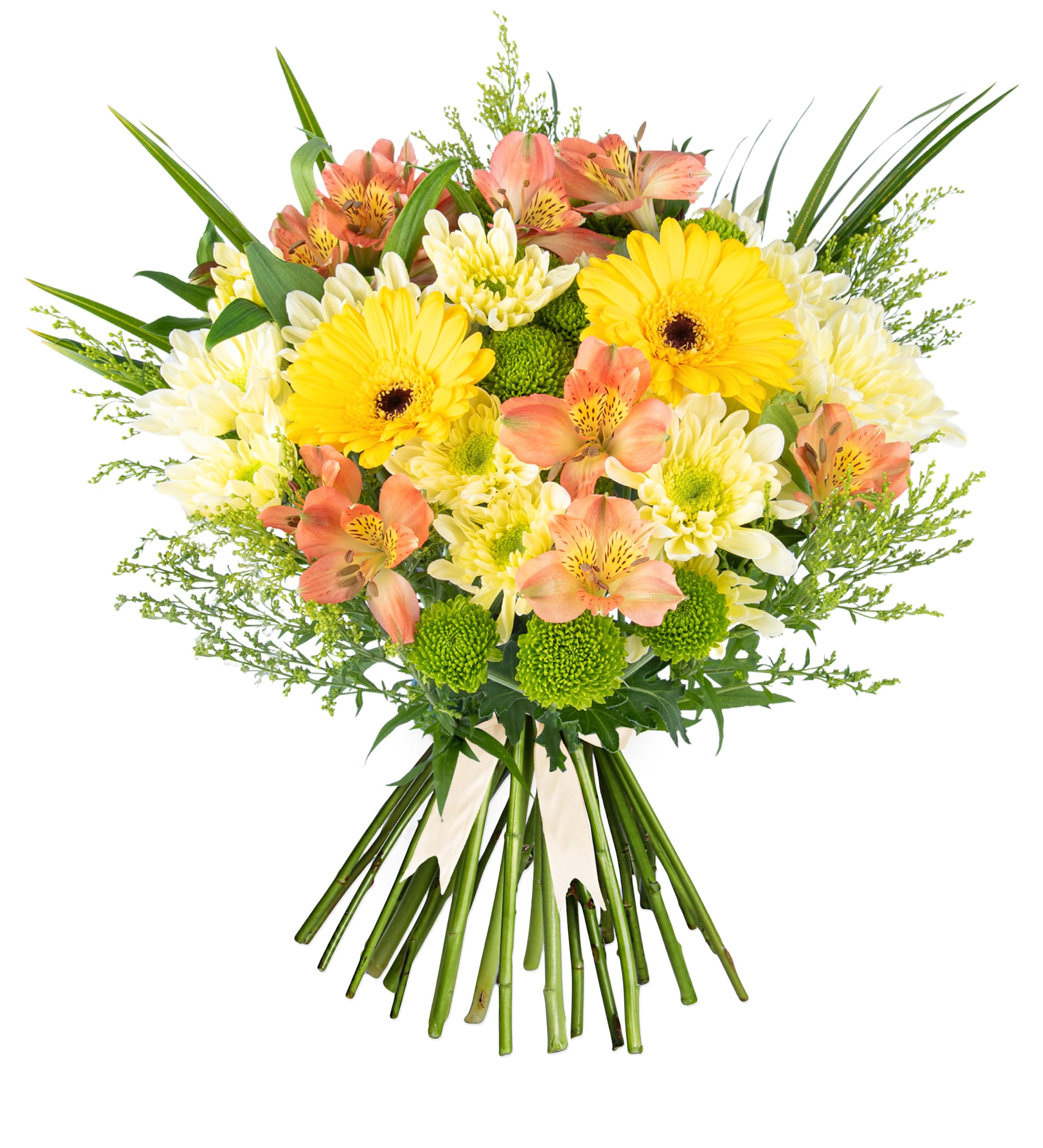 Seasons Joy - Fresh Flowers - Birthday, Anniversary, Get Well, Thank You, Occasion Flower - Cut Floral Arrangement for Gifts, Weddings, Sympathy, Celebrations. (Large)