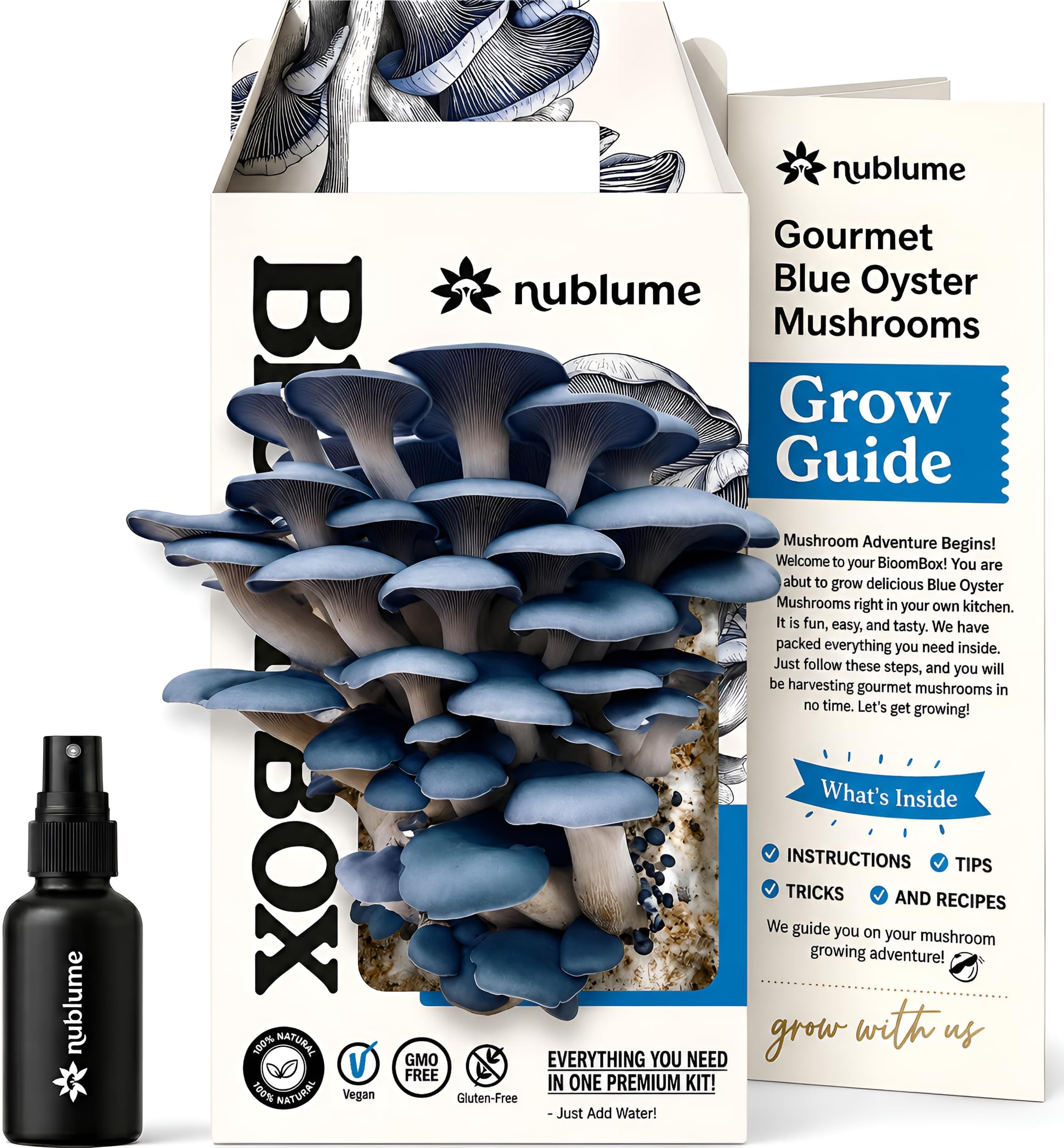 BloomBox Blue Oyster Mushroom Grow Kit