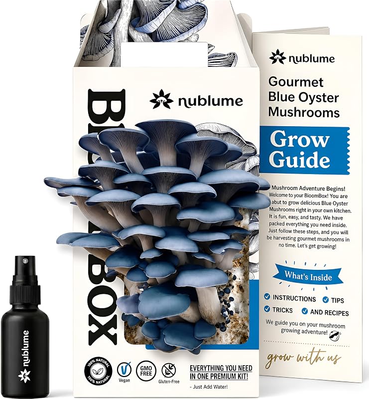 BloomBox Kit de cultivo de hongos ostra azul – Pulverizar y cultivar – Granja de hongos interior preinoculada – Apto para principiantes – Coseche hongos gourmet frescos en días – Regalo perfecto