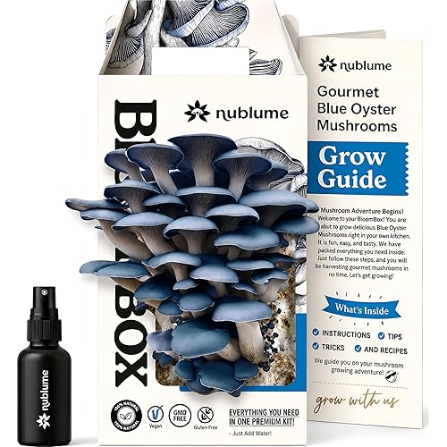 BloomBox Blue Oyster Mushroom Grow Kit – Ready to Fruit Indoor Gardening Gift – Organic Spawn Log for Fresh Fungi in 10 Days – Unique DIY STEM Science Project for Kids & Adults – Vegan Meat Substitute