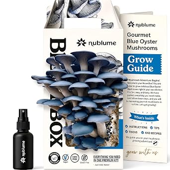 BloomBox Blue Oyster Mushroom Grow Kit Spray & Grow Pre-Inoculated Indoor Mushroom Farm Beginner Friendly Harvest Fresh Gourmet Mushrooms in Days Perfect Gift