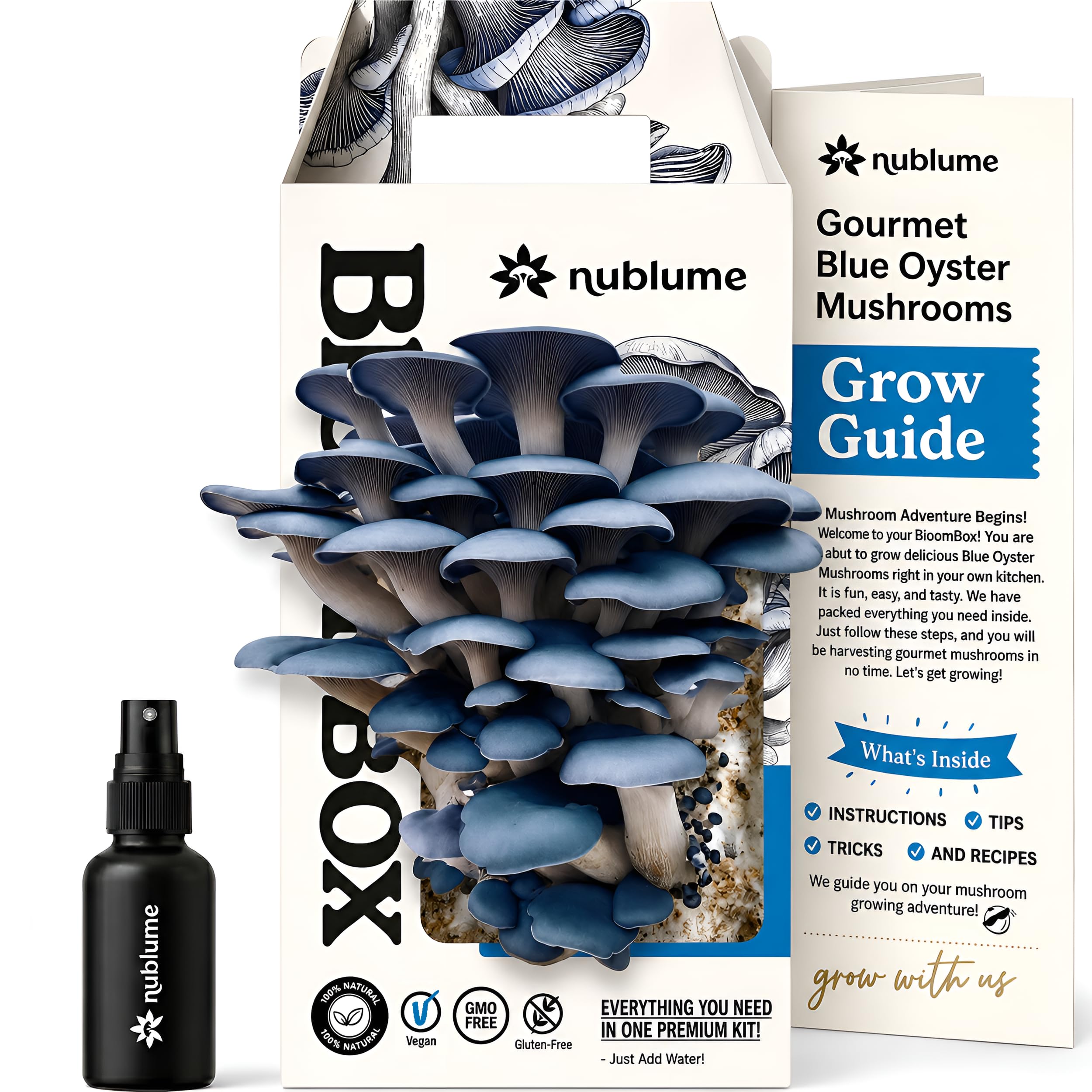 Organic Blue Oyster Mushroom Grow Kit | Grow Your Own Fresh Gourmet Mushrooms at Home | Edible Indoor Mushroom Growing Kits Great Gift for Kids & Adults-image-46