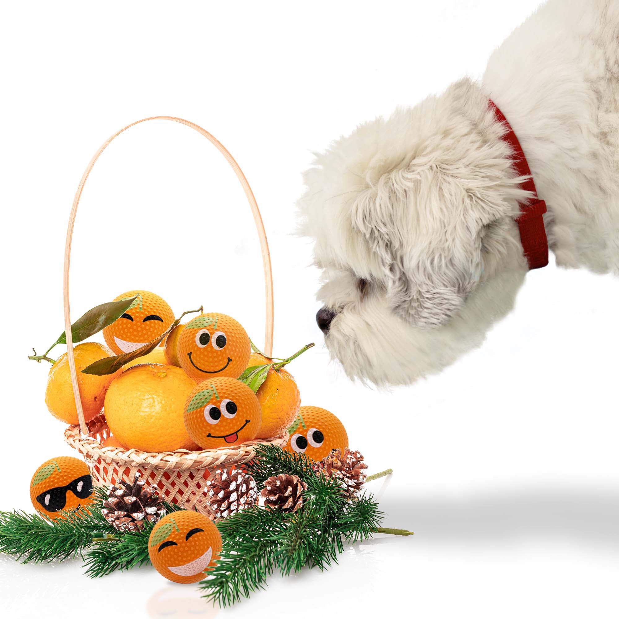 SPORTSPET High Bounce Dog Balls Scented Mandarin Dimple Edition, Fun Fetch Toy for Dogs Durable Dog Ball for Chew & Play