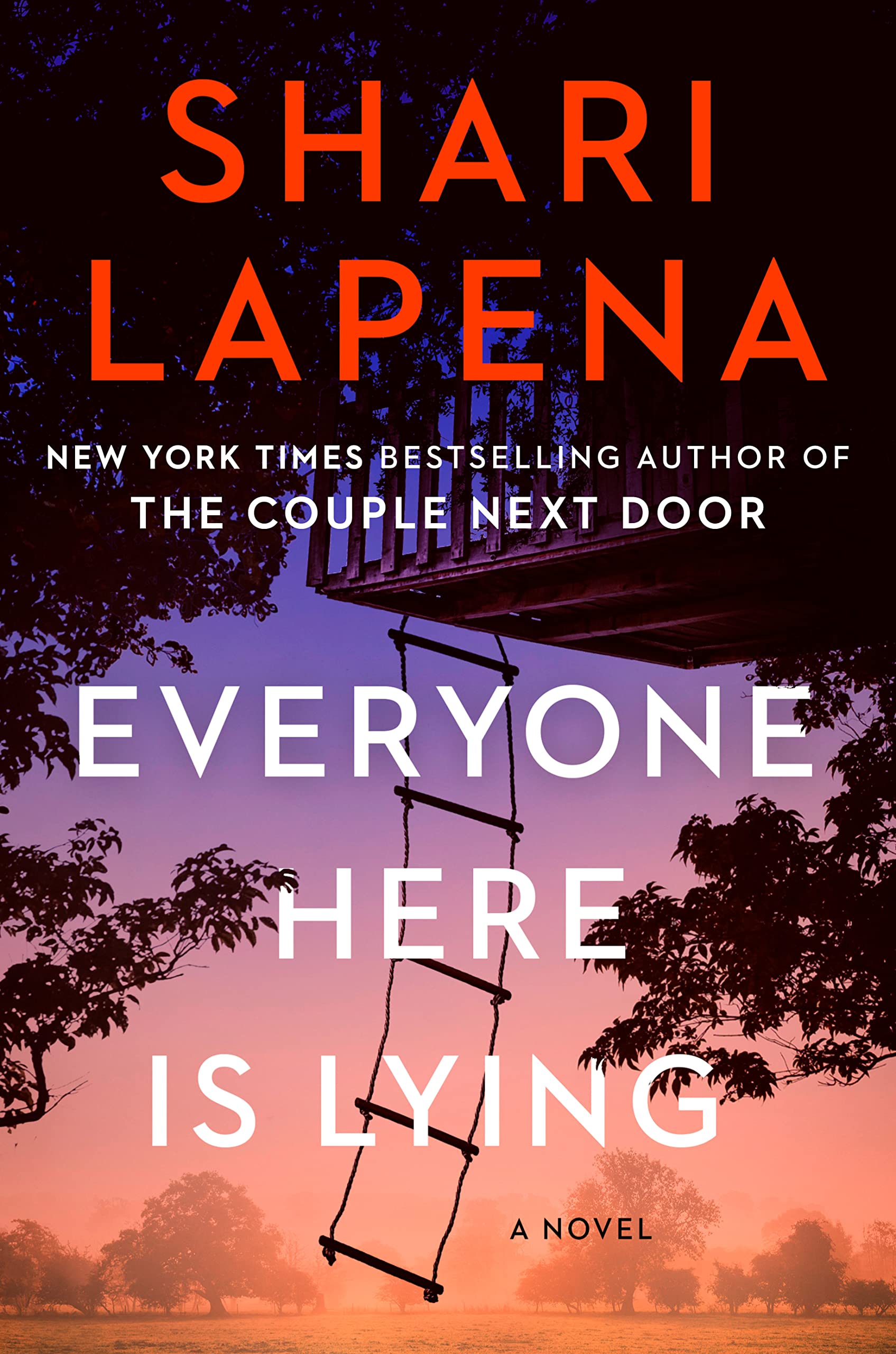 Cover image of Everyone Here Is Lying by Shari Lapena