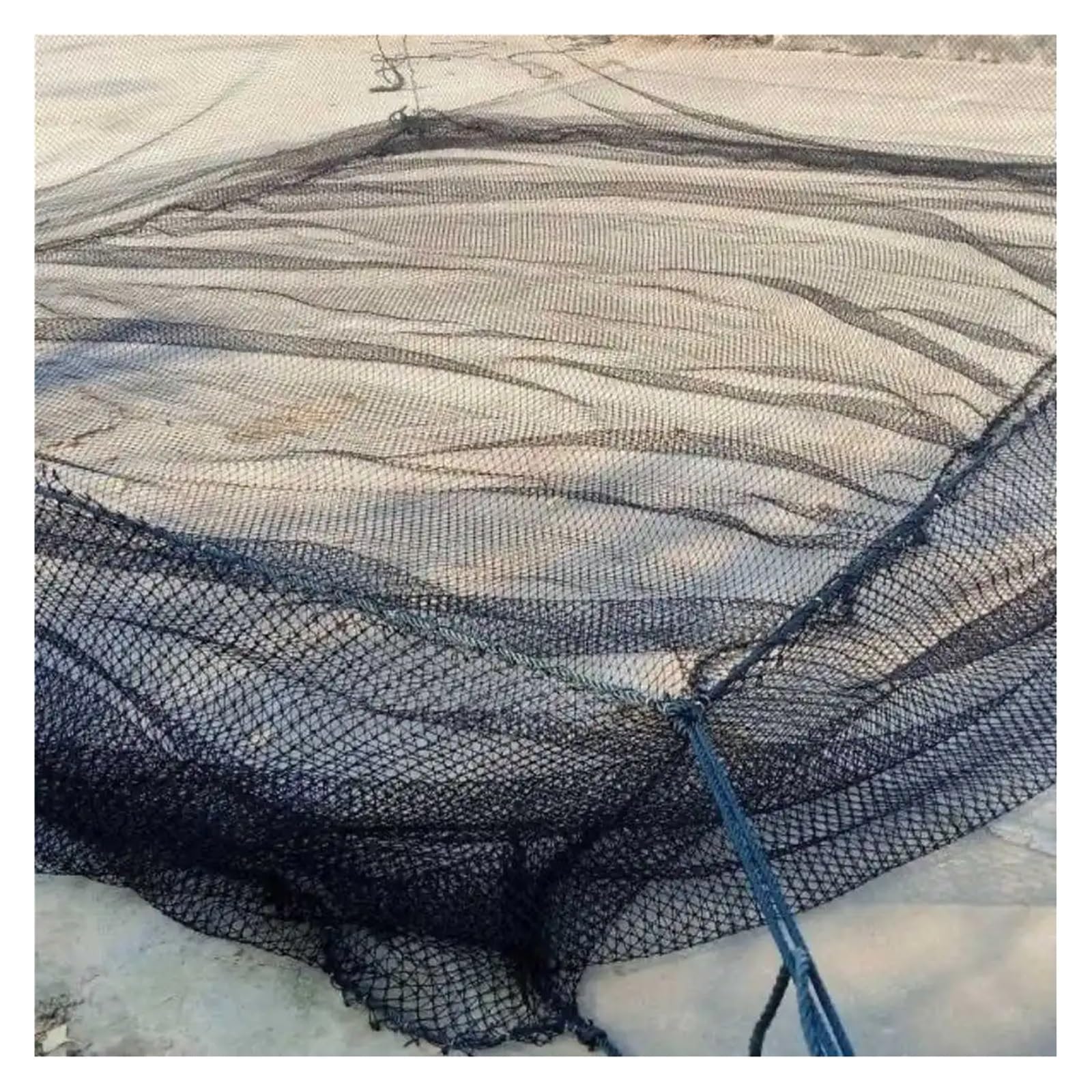 Red de nailon resistente para árboles, protección contra pájaros, valla de jardín, cubierta de árbol frutal, protector de ciervos, gatos y perros, red de aves de corral, malla antipájaros de 4 m x 1 m