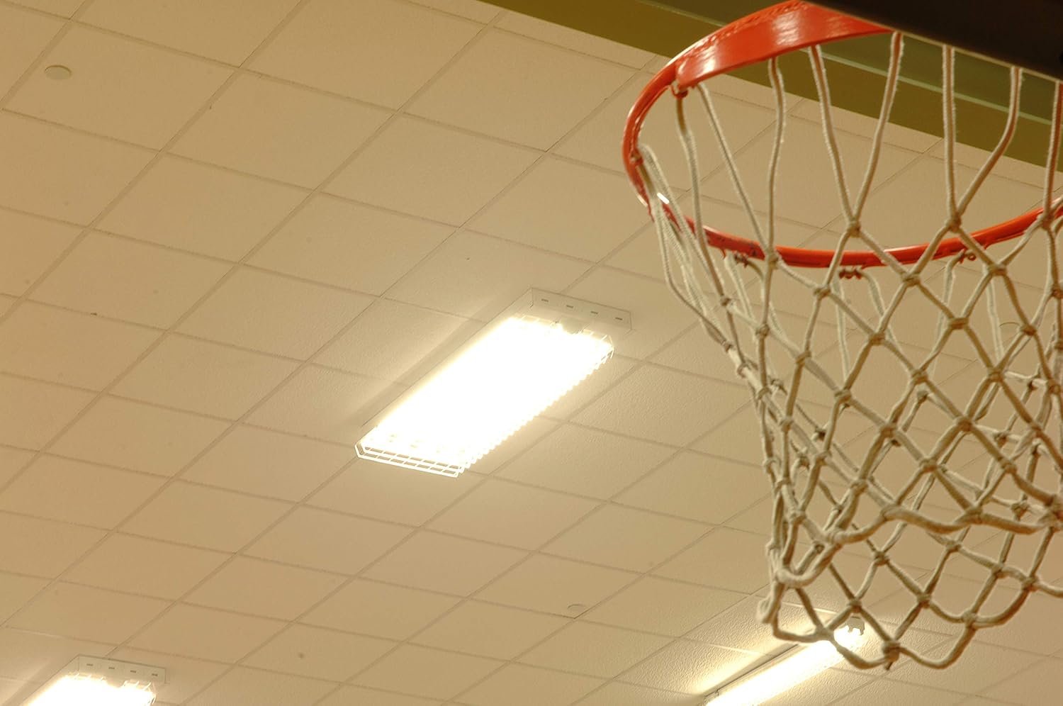 Close-up of Sylvania T8 LEDlescent LED Linear Light Bulb in a fixture