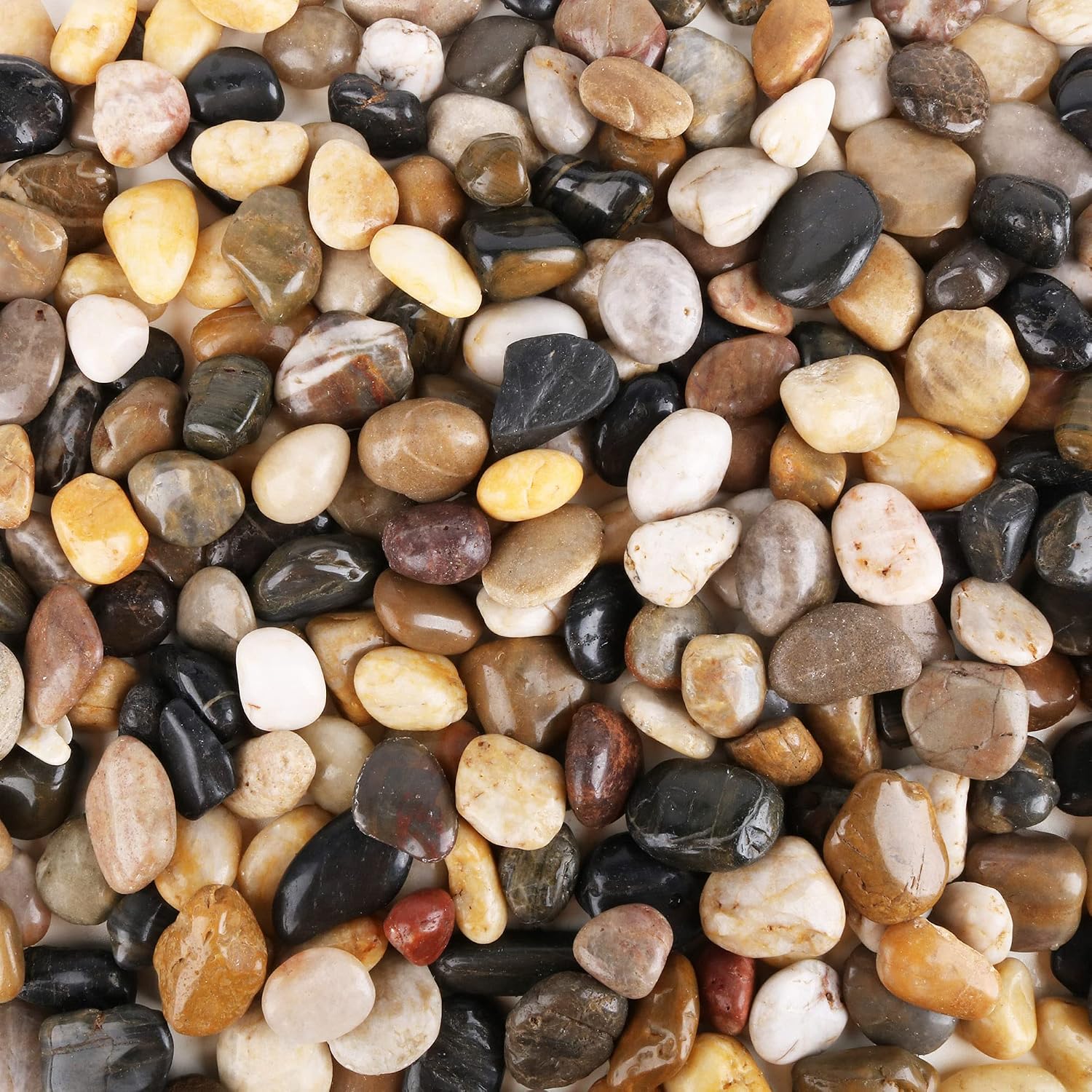 Anothera 5 LB 1"-1.5" Fine Polished Pebbles for Plants Natural River Rocks, Garden Walk Stones Outdoor Gravel Fish Tank Vase Decorative