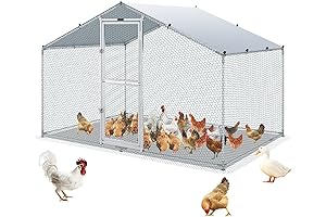 Walk-in Metal Chicken Coop: Spacious Outdoor Sanctuary for Your Poultry
