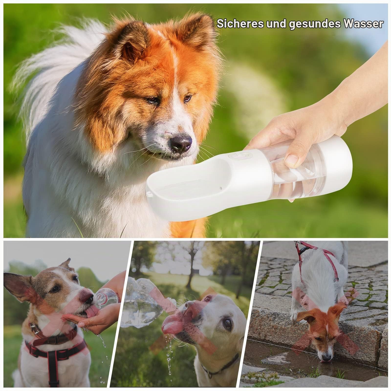 Trinkflasche Hunde für Unterwegs mit Futterbehälter 258 ml, Weiß | BPA-Freiem, Tragbare Hundetrinkflasche auslaufsicherer, für Welpen Kleine Mittel, Spaziergänge, Reisen, Wandern