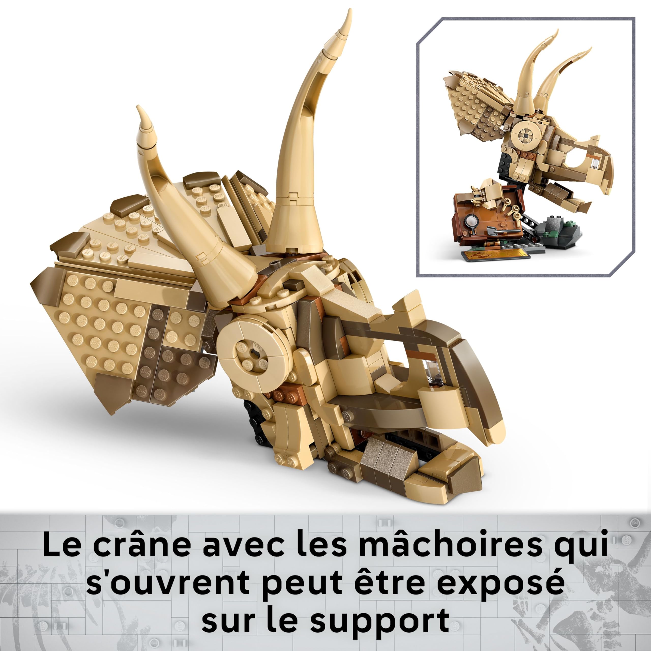LEGO Jurassic World Les fossiles de Dinosaures : Le crâne du tricératops - Jeu de Construction pour garçon et Fille dès 9 Ans - Idée Cadeau pour passionnés d'animaux préhistoriques 76969