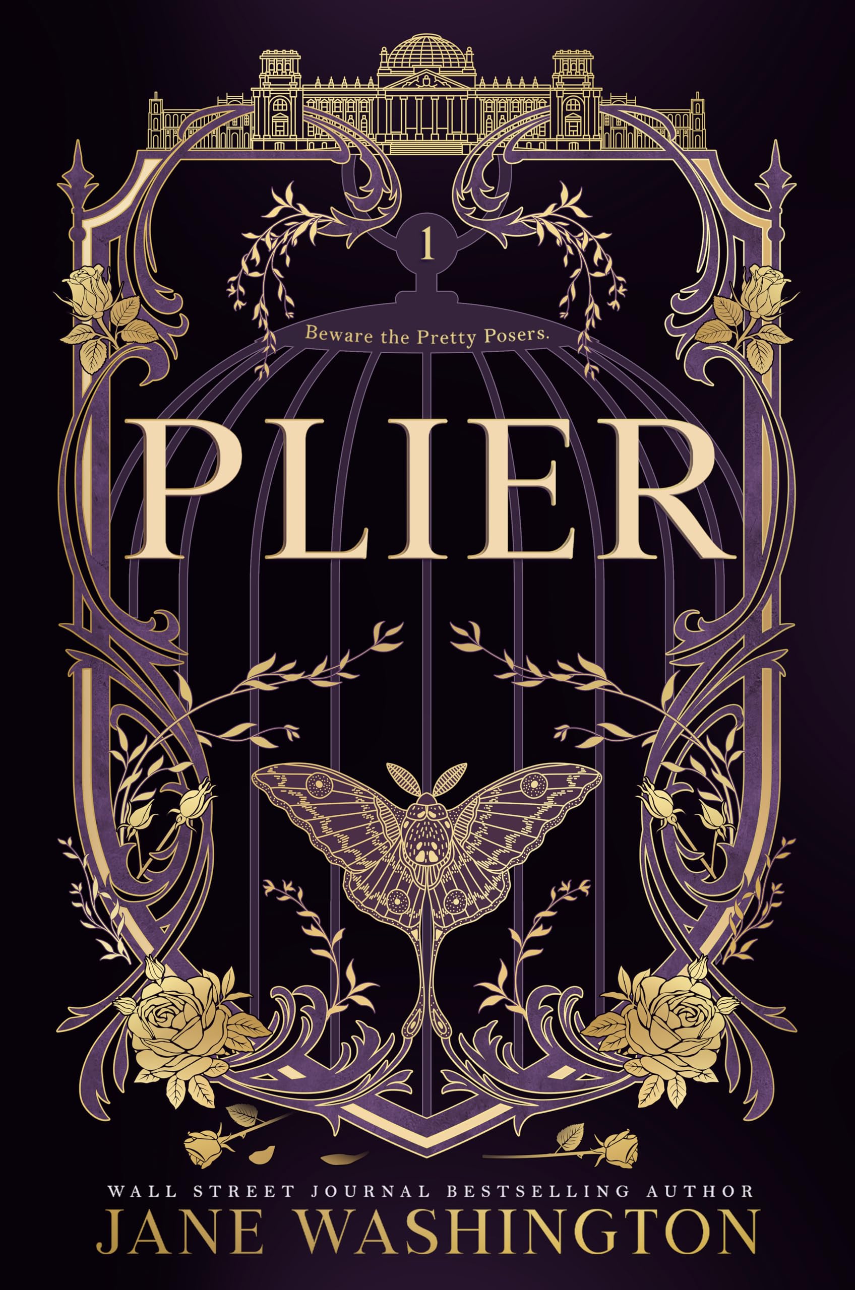 Plier (Ironside Academy Book 1)