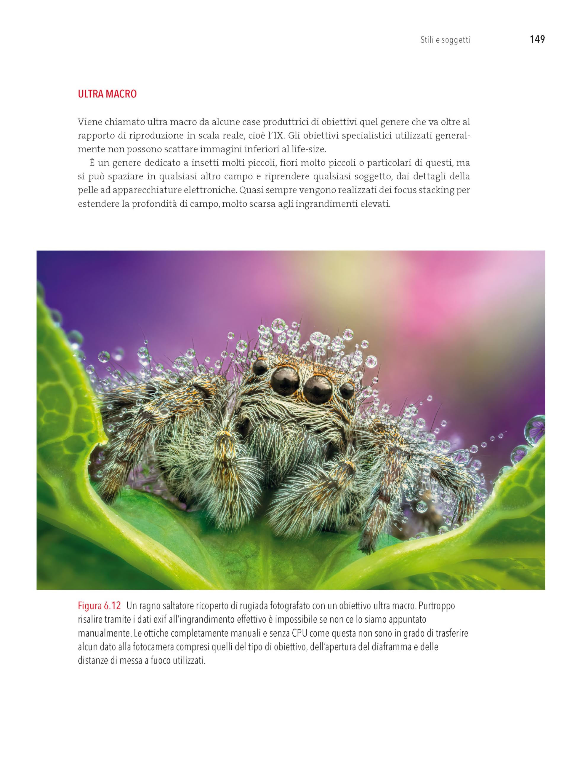 Macrofotografia. Strumenti e tecniche per catturare i dettagli del mondo