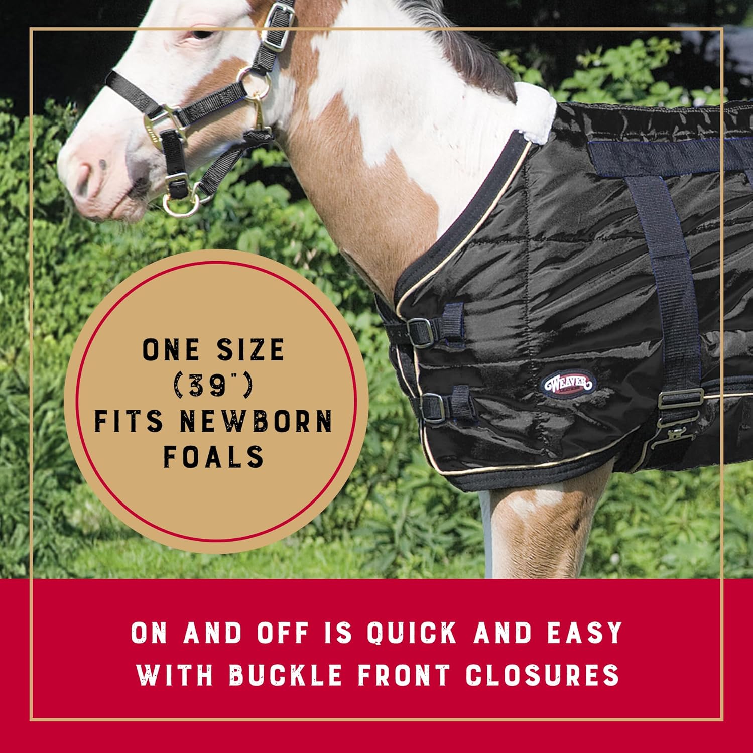 Weaver Equine 420D Foal Blanket, Insulated Midweight Winter Horse Blanket with Soft Liner, 39” One Size Fit Protective Indoor Equestrian Gear, Black