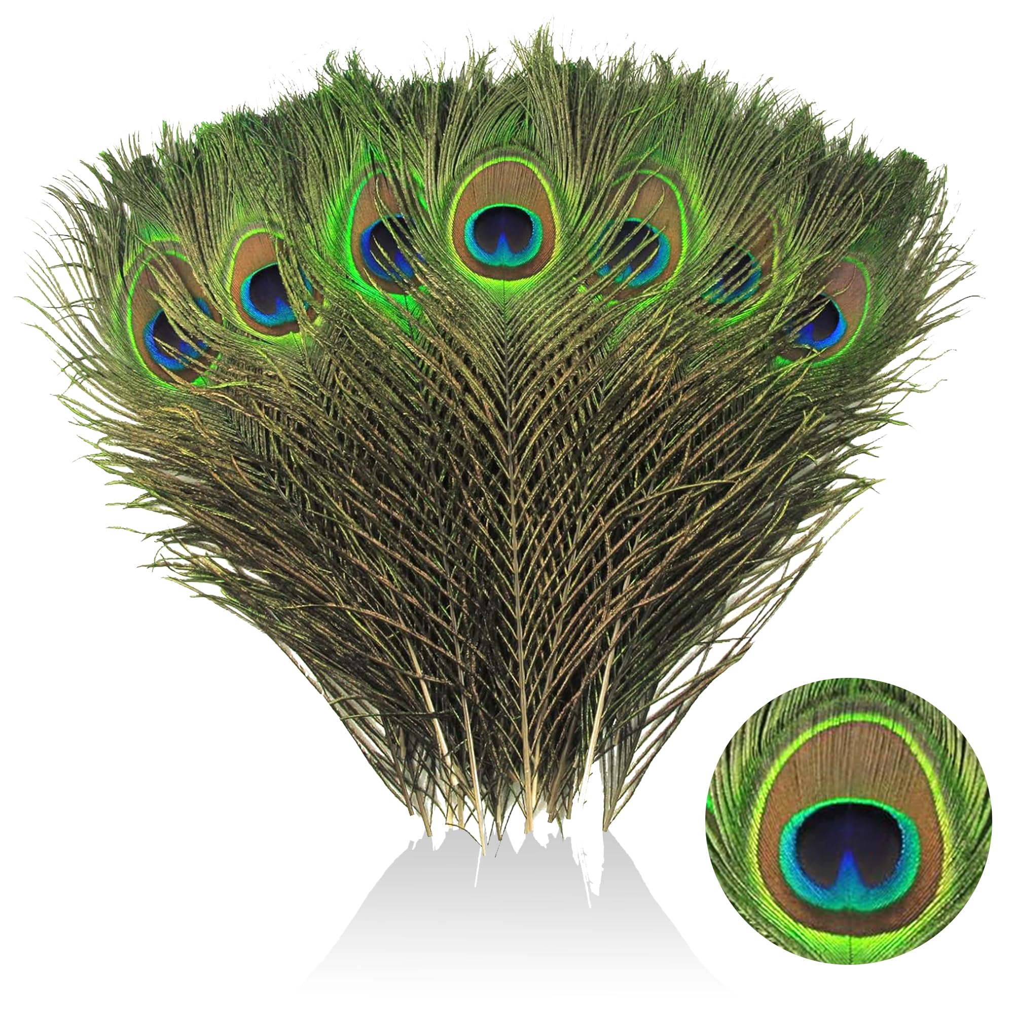laeeyin 20 piume di pavone naturali, 25 – 30 cm, per fai da te, decorazioni con piume per orecchini fai da te, matrimoni, acchiappasogni, piume copricapo, artigianato scolastico