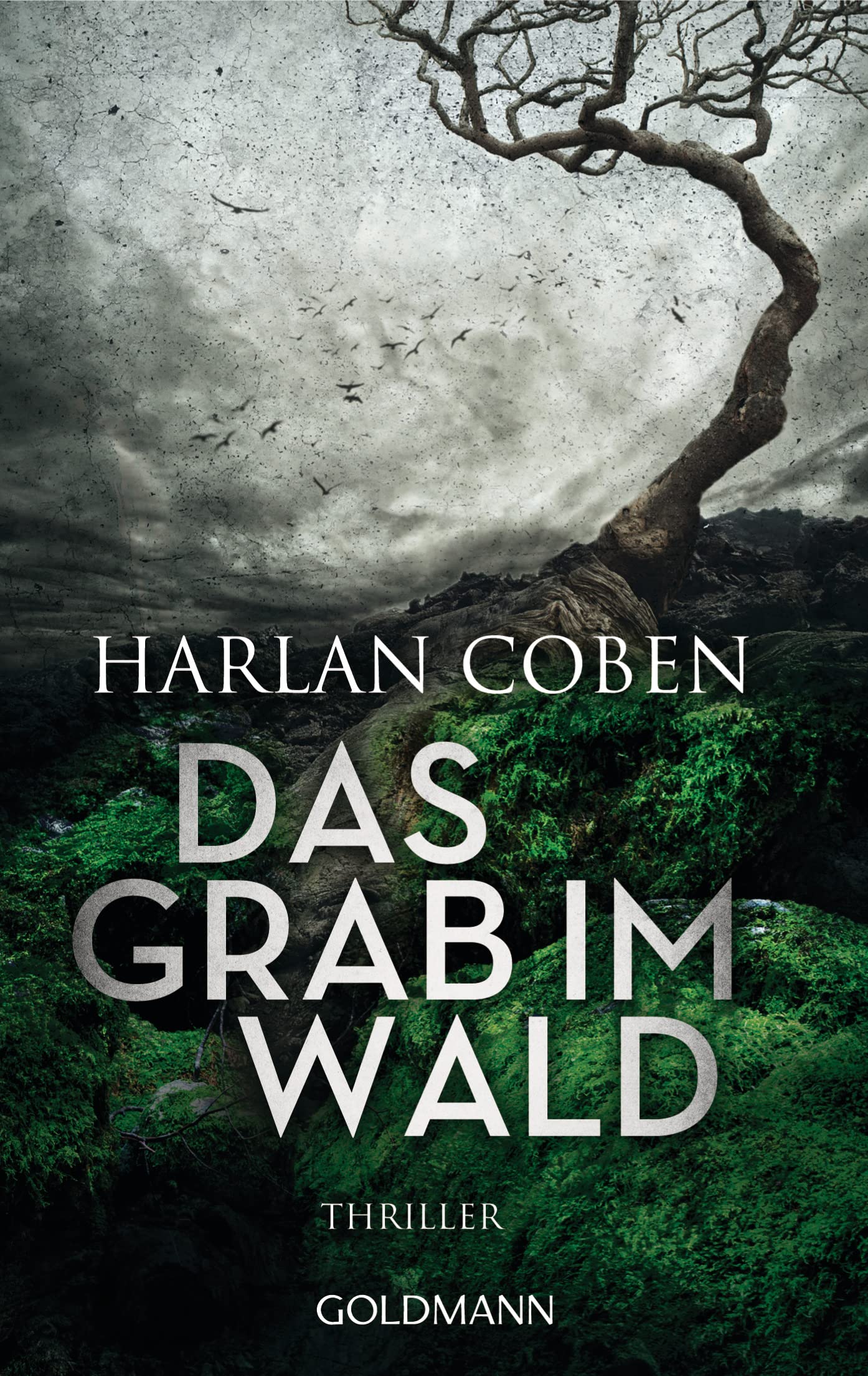 Das Grab im Wald: Roman (German Edition)