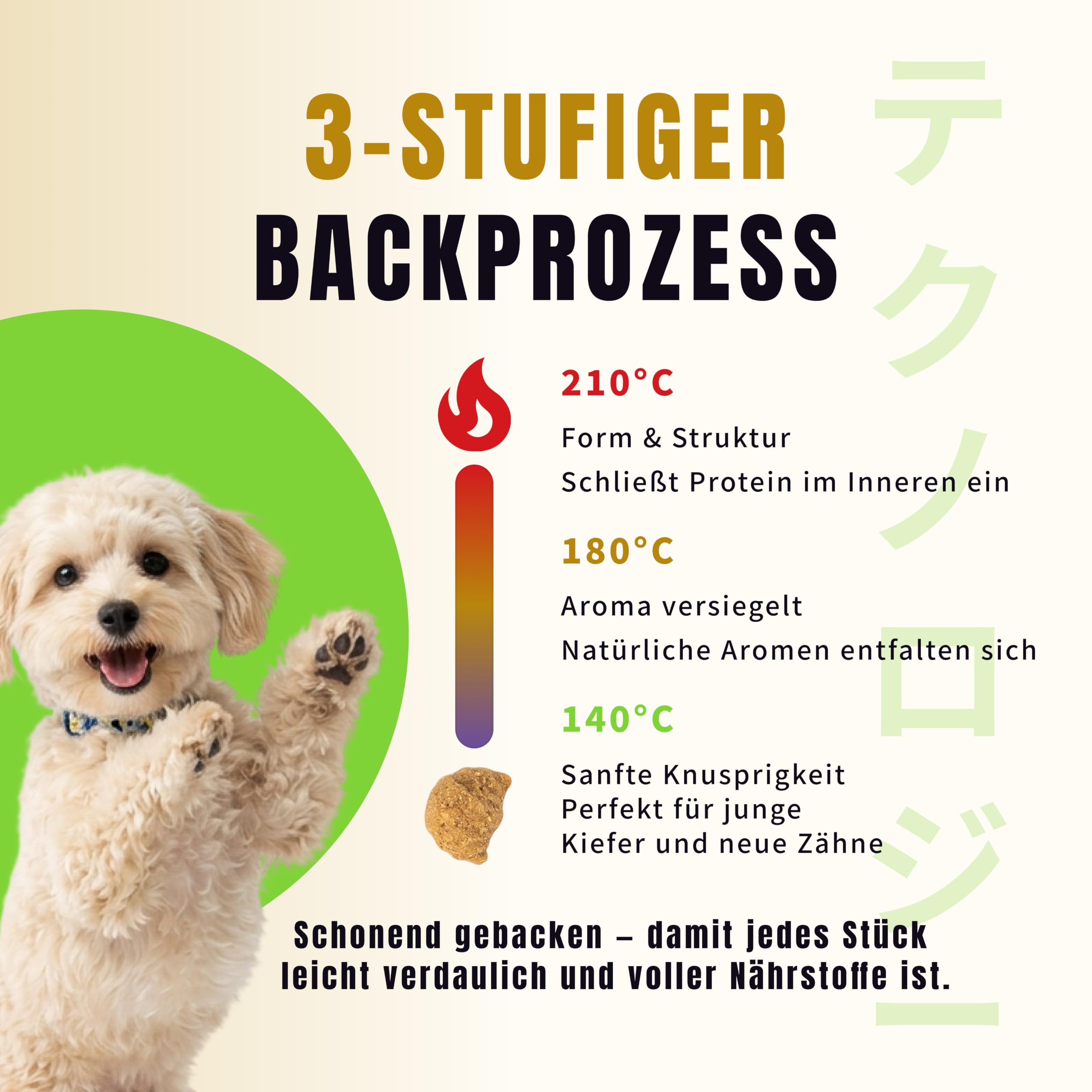 Oven-Baked Getreidefreies Welpenfutter – Frisches Huhn mit Kolostrum & DHA – Schonend gebacken für gesundes Wachstum – Hoher Proteingehalt (92% tierisch) – 2 Kg
