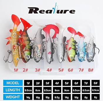 Set Da 5 Esche Artificiali Spinning Per Mare E Lago – Minnow Con Coda 3D, Ami In Acciaio, Scatola Portaesche Inclusa