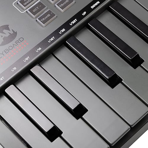 Miniatura 10 de RockJam Teclado electrónico portátil de 54 teclas con pantalla LCD interactiva e incluye aplicación de enseñanza de piano Maestro con 30 canciones