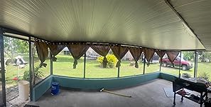 Review Image by Brian Brian