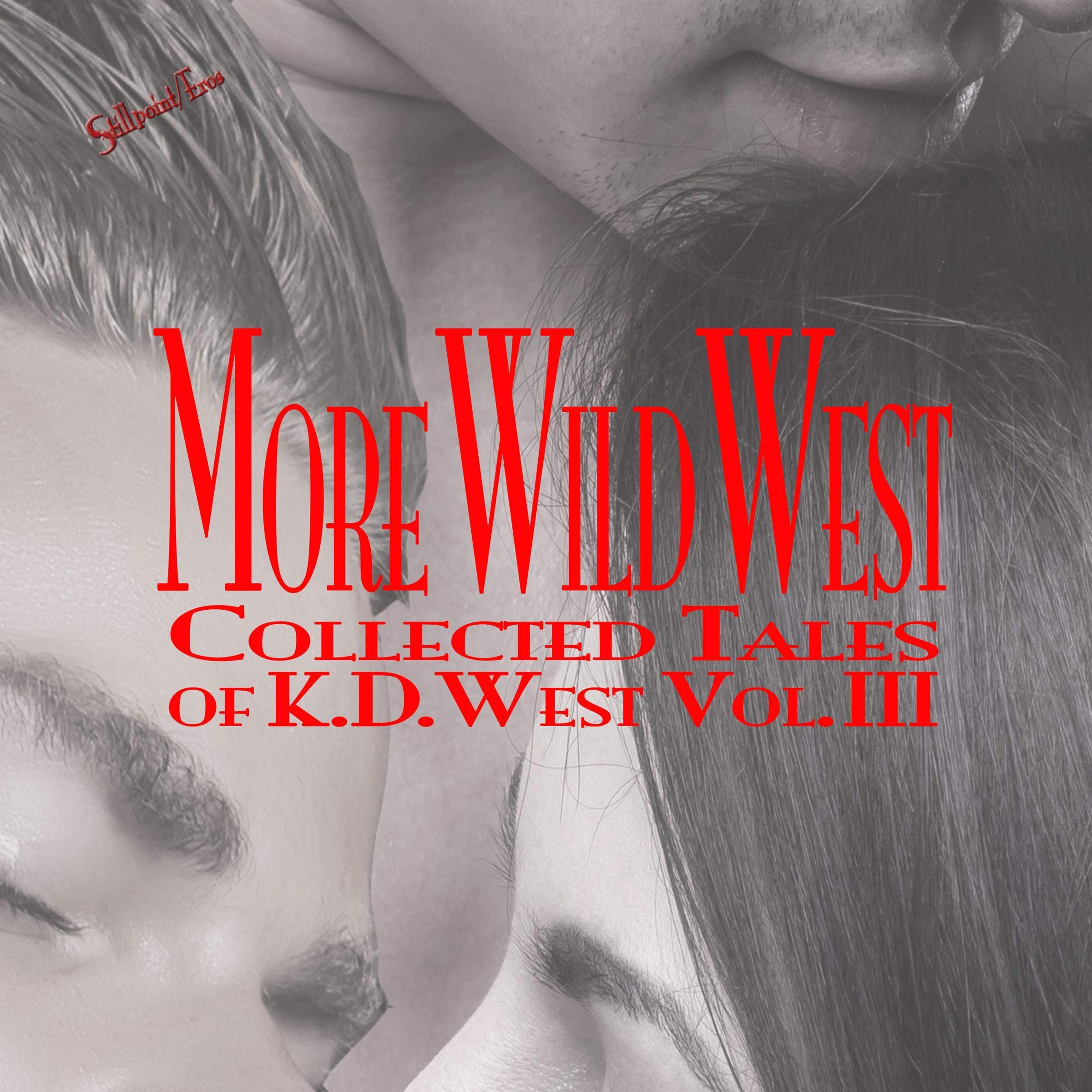 More Wild West: Bundle - The Visitor Saga, The Visitor's Wedding, The Visitor's Apprentice, By the Numbers