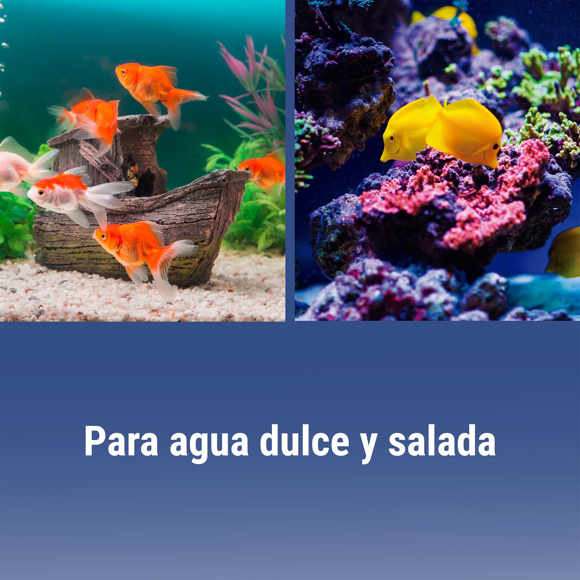Dajana Multicure Tratamiento para Peces de Amplio Espectro contra Hongos, Parásitos Externos y Leves Infecciones Bacterianas, para Acuarios de Agua Dulce y Salada, 1L