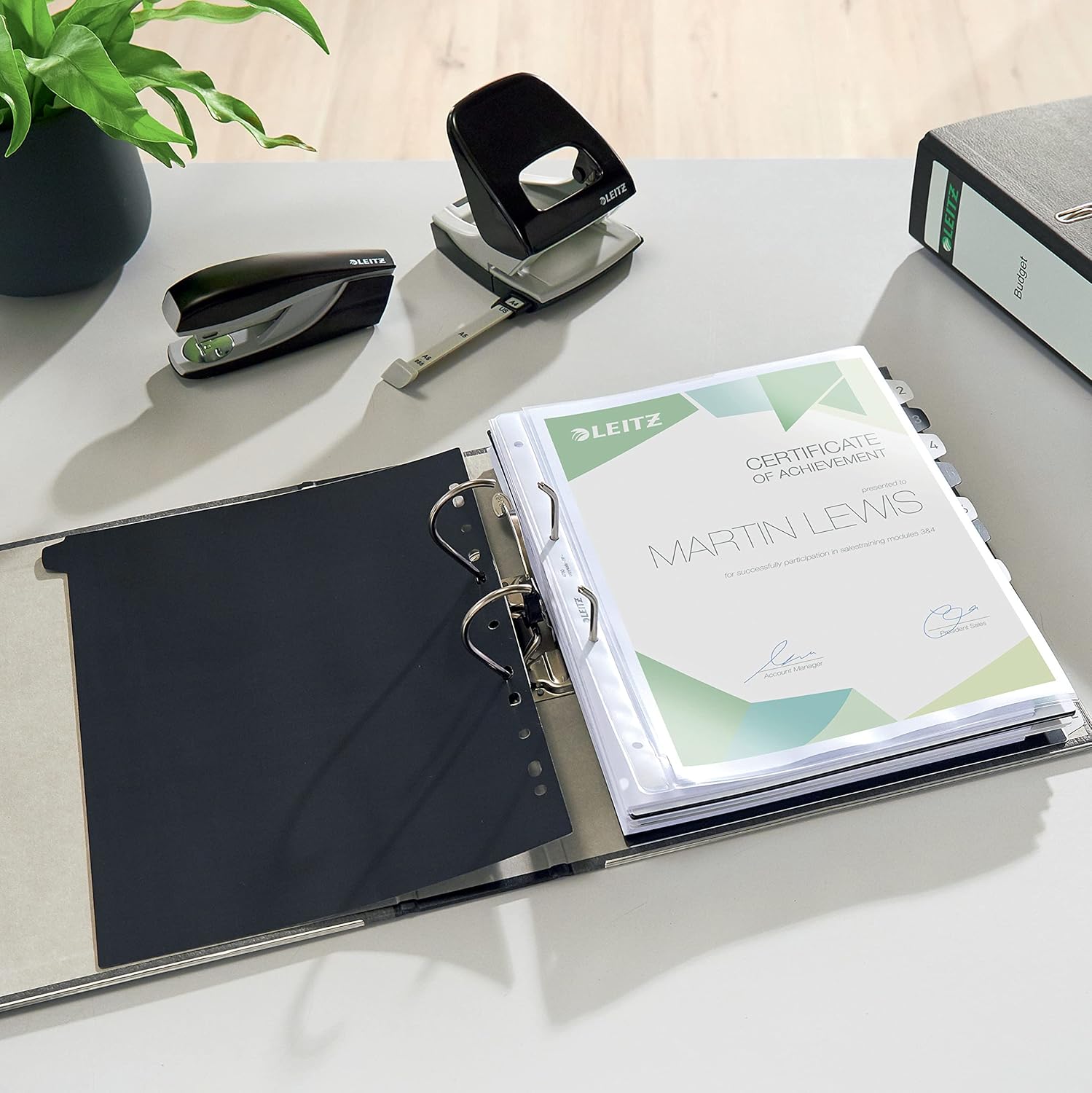 Leitz 2-Ring 3-Inch Premium A4 Sized European Black Marbled Binder, Light Gray (R80-LG)