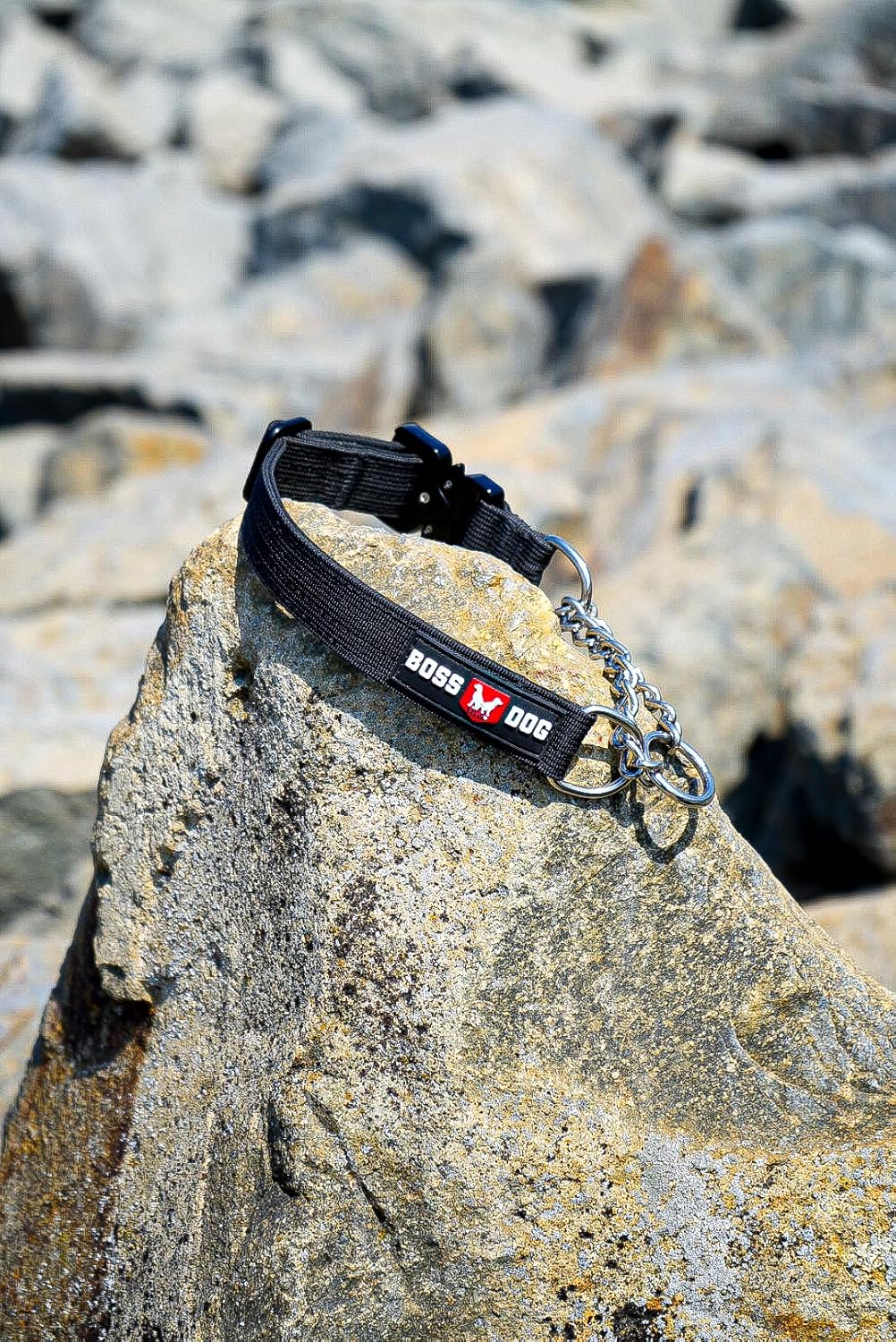 Boss Dog Martingale Collar, Black, Small/Medium