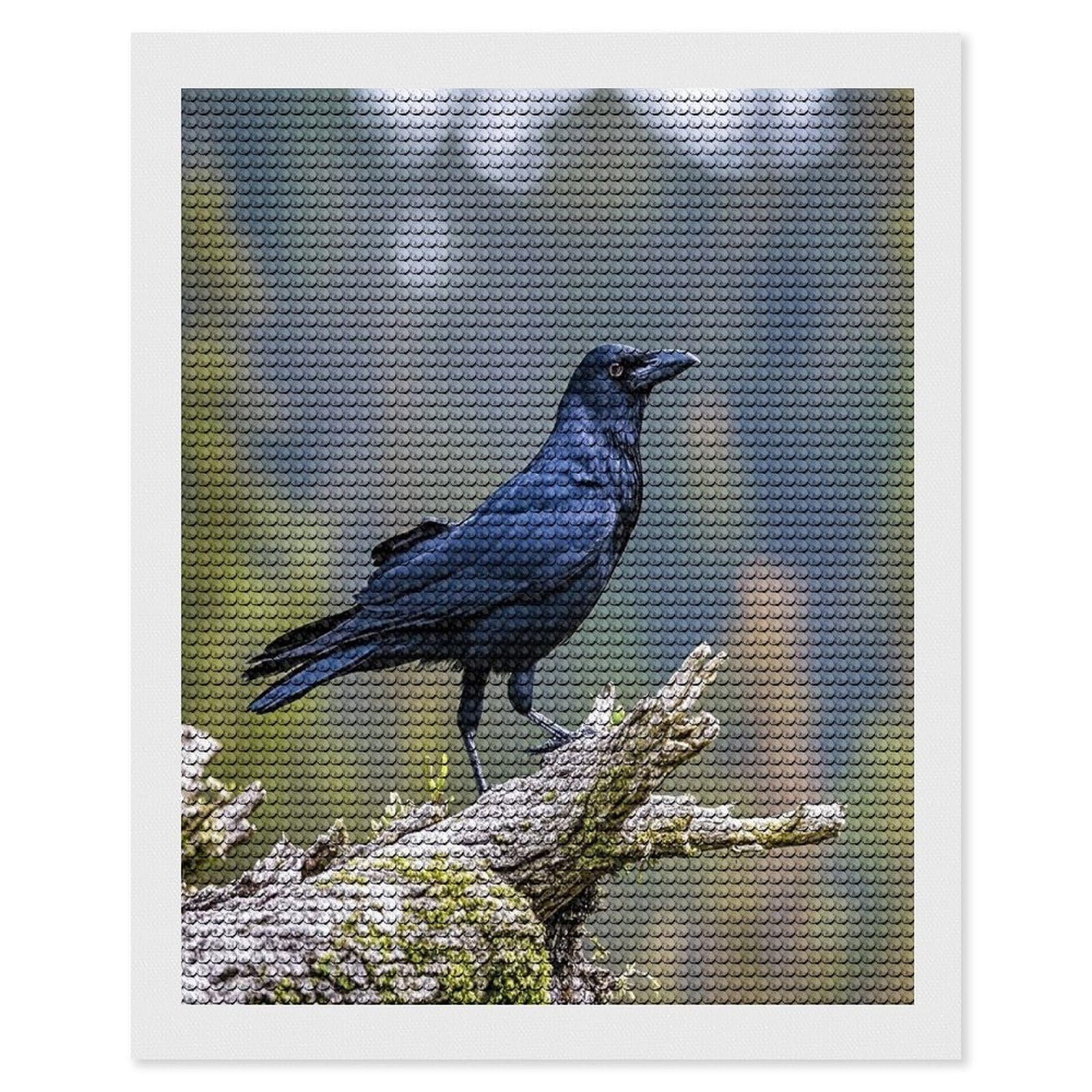 FekiLoot Black Crow Birds Diamond Painting Kits for Adults Round Paint with Diamonds Pictures Gem Art Painting Kits Personalized Diamond Art Full Drill for Beginners Home Wall Decor