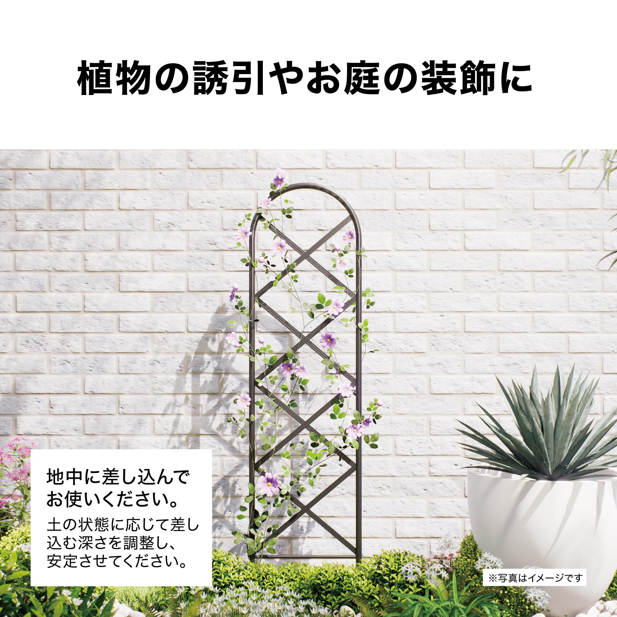 Amazon.co.jp: タカショー トレリス ガディス アルミトレリス 1枚 W30