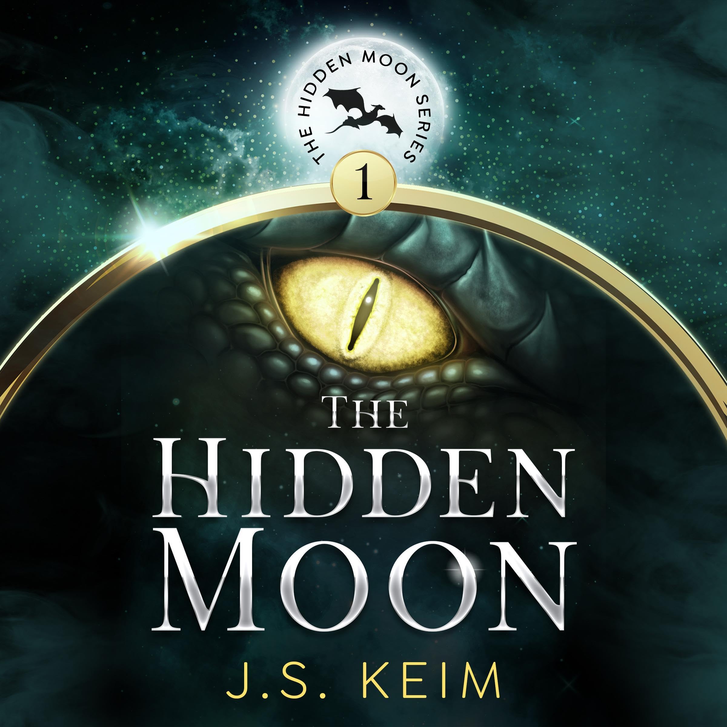 Cover art for The Hidden Moon