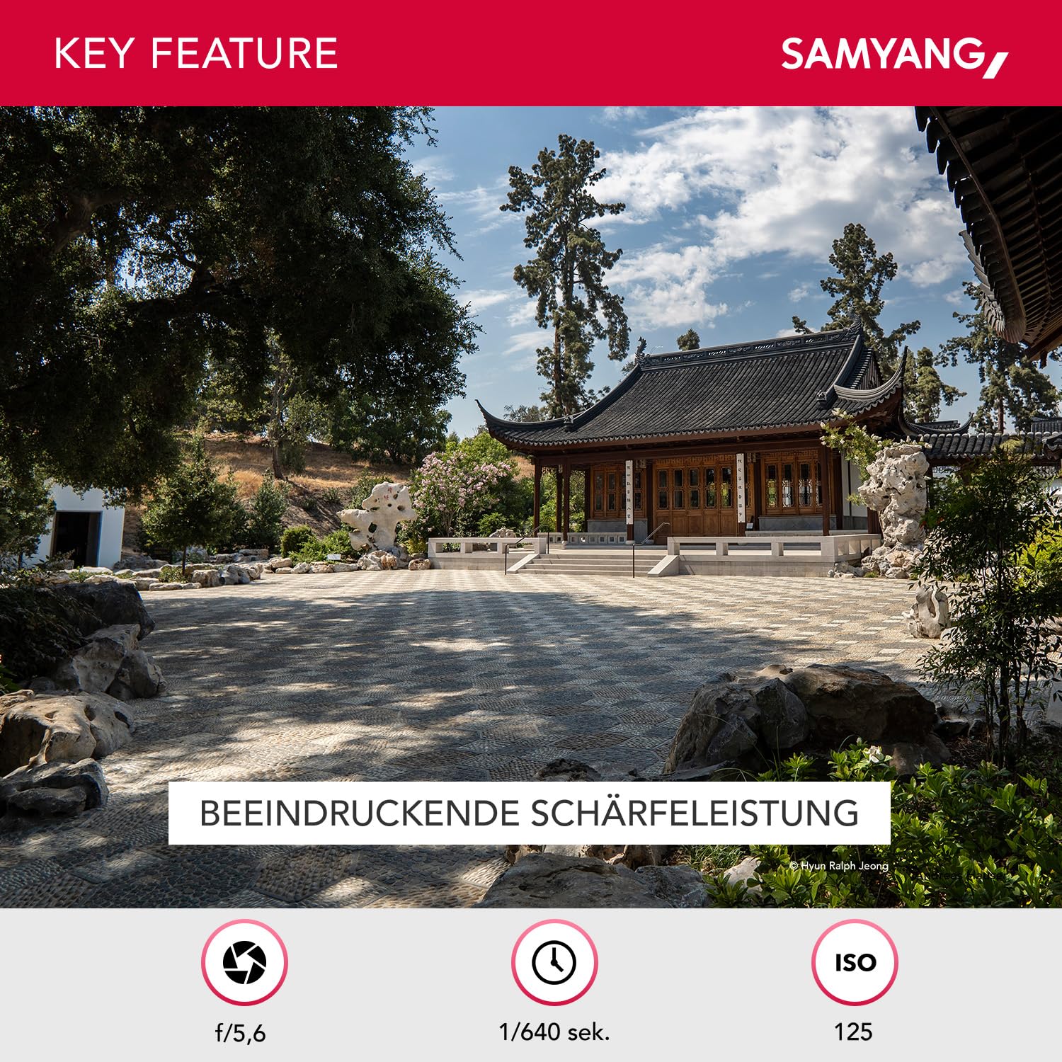 Samyang AF 12mm F2.0 E Objektiv für Sony E – Autofokus APS-C Weitwinkel Festbrennweite Objektiv für Sony E Mount APSC, für Kameras Sony Alpha 6600 6500 6400 6300 6100 6000 5100 5000 NEX schwarz
