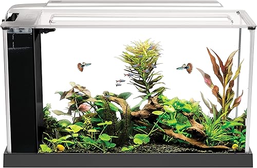 Fluval Spec V Acuario Kit, 5 Galones, color blanco