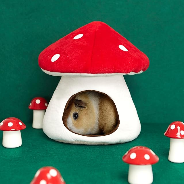 Foto 3 de 8 de Balvi Cama para cobaya Mushroom Cama de Tela con diseño de Seta para pequeños roedores Poliéster
