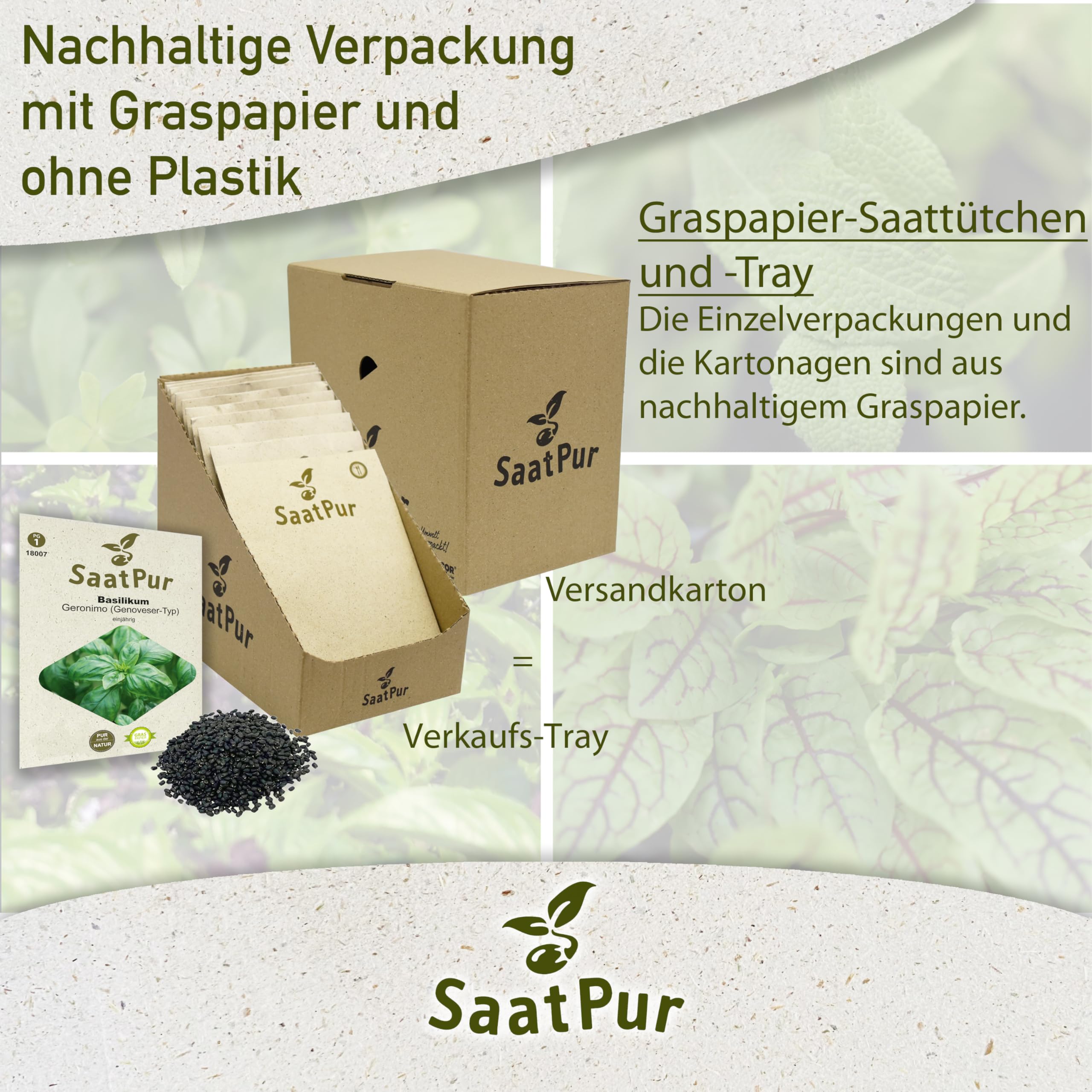 SaatPur Basilikum Samen, Basilikum Geronimo Saatgut - Kleines Tray mit 25 Portionstüten für je ca. 200 Pflanzen