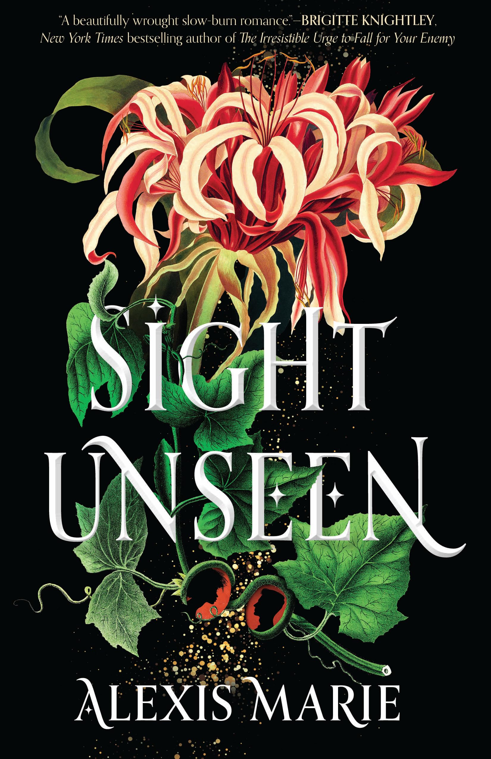Cover of Sight Unseen