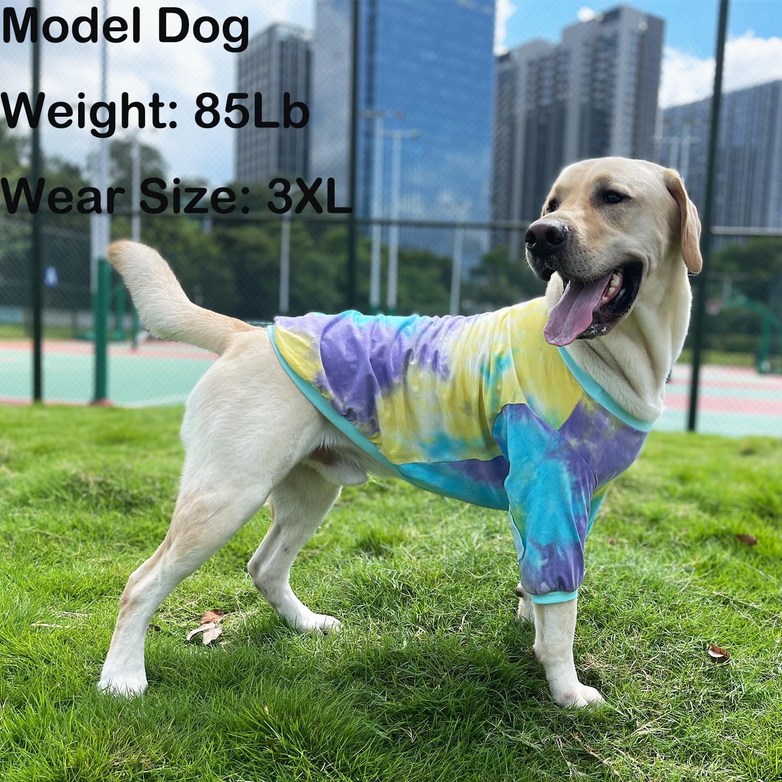 Hunde-T-Shirt, gestreift, Batikfärbung, Hundehemd für mittelgroße und große Hunde, atmungsaktiv, dehnbar, Baumwolle, Knie-Schutz, Schlafanzug, S-3XL