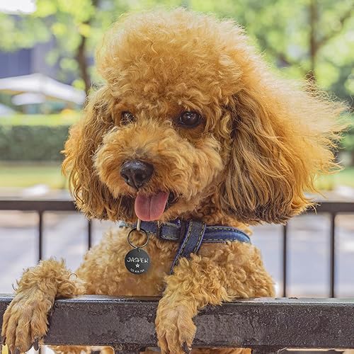 Miniatura 7 de JATEBI Etiqueta de identificación de mascotas de acero inoxidable con grabado frontal y trasero, etiquetas de identificación personalizadas de gato,