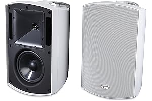 Klipsch AW-650 Indoor/Outdoor Speaker: Unparalleled Audio Experiences Both Indoors and Out