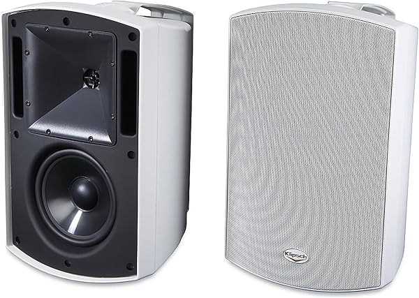 Klipsch AW-650 Indoor/Outdoor Speaker with Titanium Tweeter
