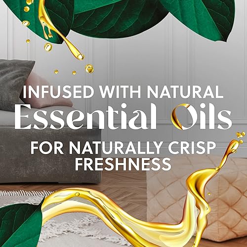 Miniatura 4 de Air Wick - Repuestos de aceite aromático para enchufar, 10 repuestos, aguas frescas, ecológico, aceites esenciales, ambientador, 0.67 onzas líquidas