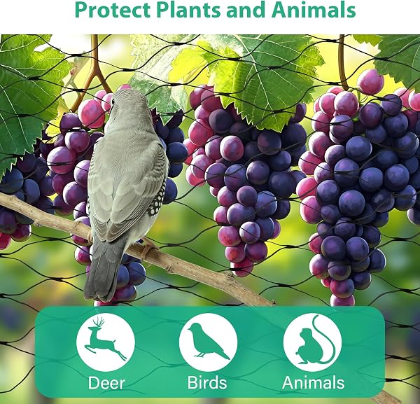 4m x 12m Bird Protection Netting Garden Net Fine Mesh Poultry Net Poultry Netting Heavy Duty Durable Reusable for Fruit Trees, Vegetables and Ponds - 2