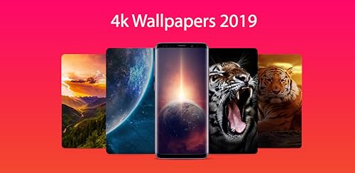4k Wallpapers 2019