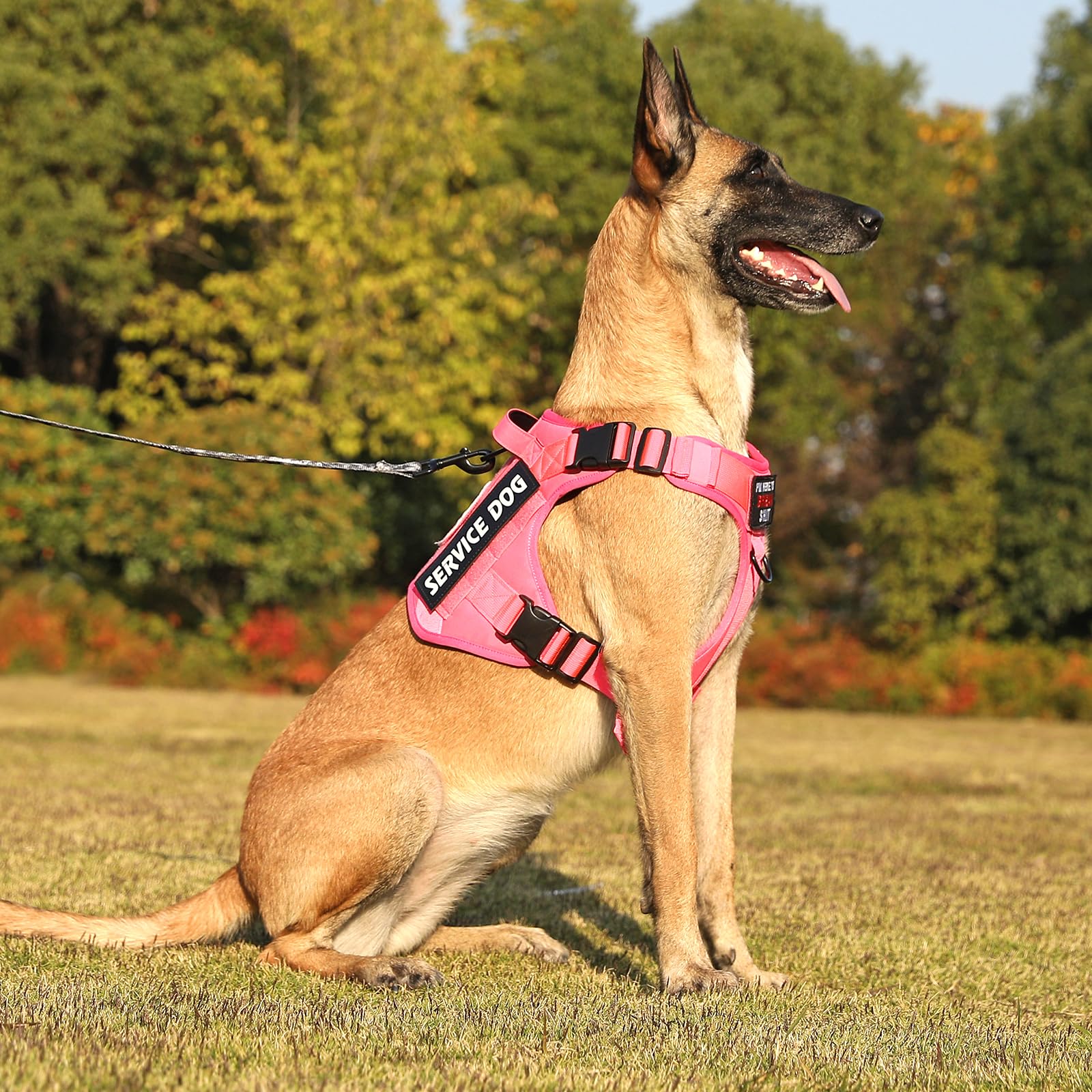 Arnés Táctico para Perros, COMSLE Arnes Antitirones para Perros Grande Mediano pequeño, Chalecos Ajustable con 4 Hebillas de Liberación Pápida y Asa Acolchado, Arnes Perro para Caminar Entrenamiento
