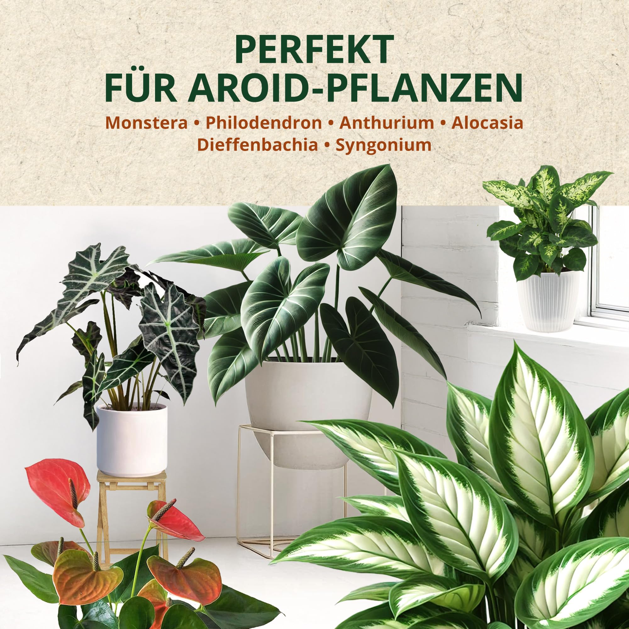 Terreau Aroid Mix 12 Liter