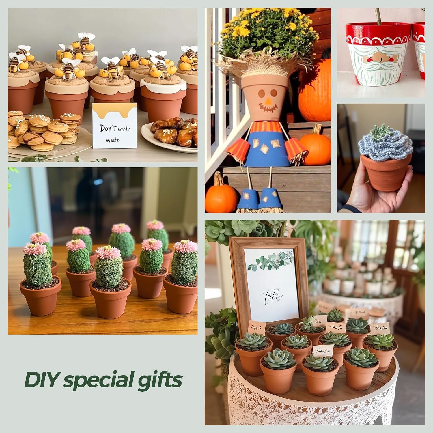 T4U Mini Terracotta Pots (36pcs): 2 Inch Small Clay Pots with Drainage Holes, Ideal for Succulent Cactus Plants, DIY Crafts, Home Decor