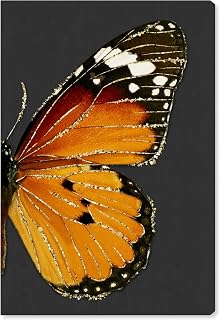 The Oliver Gal Artist Co. Animals Wall Art Canvas Prints 'Monarch and Glitter Butterfly II' Insects